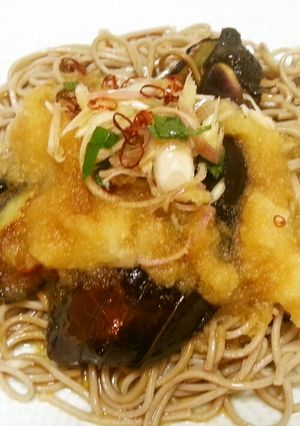 さっぱり茄子の薬味おろしそば-レシピのメイン写真