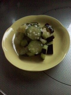 茄子の塩麹即席漬-レシピのメイン写真