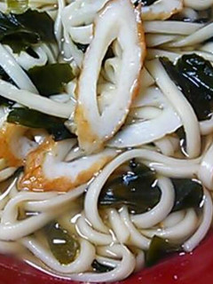 簡単かけうどん~(⌒‐⌒)-レシピのメイン写真