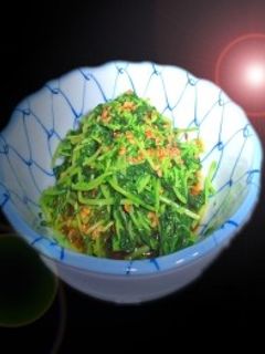 豆苗の胡麻和え-レシピのメイン写真