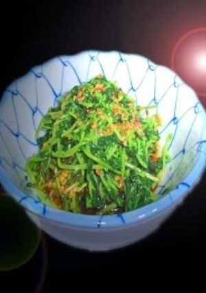 豆苗の胡麻和え-レシピのメイン写真