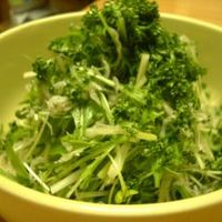 セロリパセリ パセリ・セロリの品種一覧 ／ 野菜の種の通信販売 - 中原採種場(株)