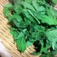チンして簡単!黒くならない乾燥バジル保存