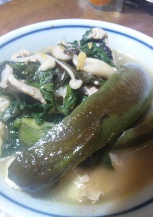 シソたっぷり野菜入り肉豆腐-レシピのメイン写真