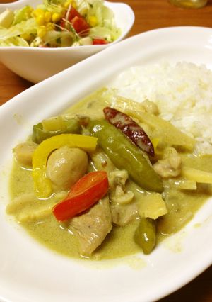 和尚の辛口タイ風グリーンカレー-レシピのメイン写真