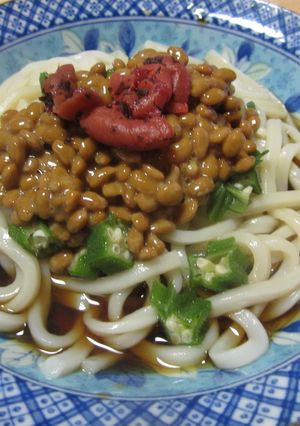 納豆とオクラのネバネバ冷やしうどん-レシピのメイン写真