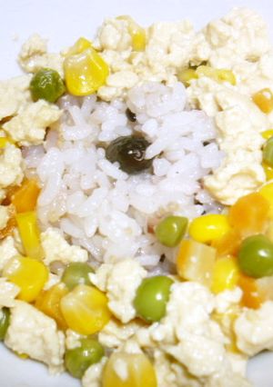 ヘルシー炒り豆腐丼-レシピのメイン写真
