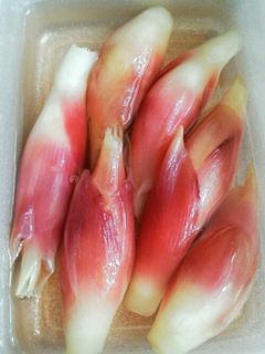 夏の保存食~みょうがのさっぱり漬け-レシピのメイン写真