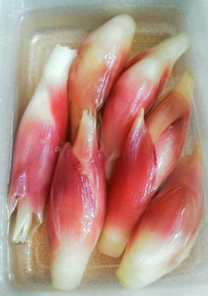 夏の保存食～みょうがのさっぱり漬け-レシピのメイン写真