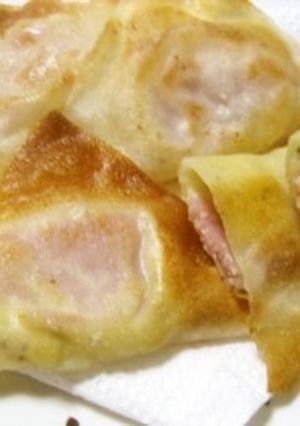 おつまみ揚げワンタン-レシピのメイン写真