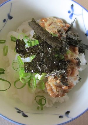 イカ納豆ネバネバ丼-レシピのメイン写真
