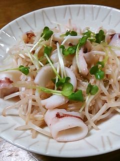 イカともやしの塩麹炒め-レシピのメイン写真