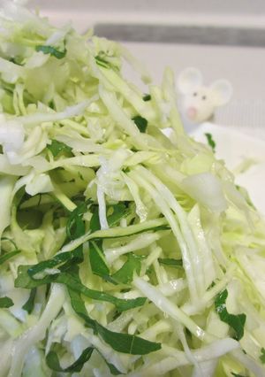 コツは切り方！キャベツと大葉のサラダ-レシピのメイン写真
