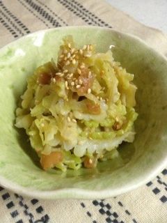 ゴーヤの梅和え-レシピのメイン写真