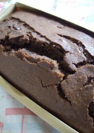 九陽★自家製おからリッチなチョコパウンド-レシピのメイン写真