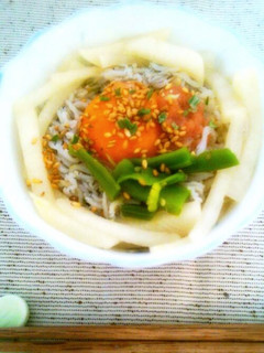 簡単ヘルシー✩海の幸♪しらす丼-レシピのメイン写真