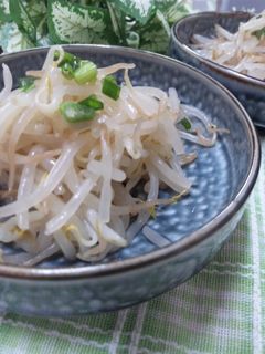 もやしの中華風和え物-レシピのメイン写真