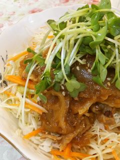 圧力鍋で!豚の赤味噌煮サラダ仕立て☆-レシピのメイン写真