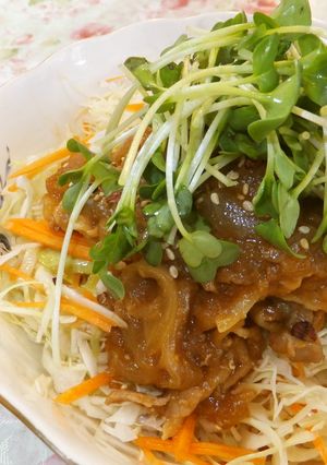圧力鍋で!豚の赤味噌煮サラダ仕立て☆-レシピのメイン写真