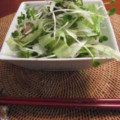 รูปของ 薬味たっぷり和風サラダ