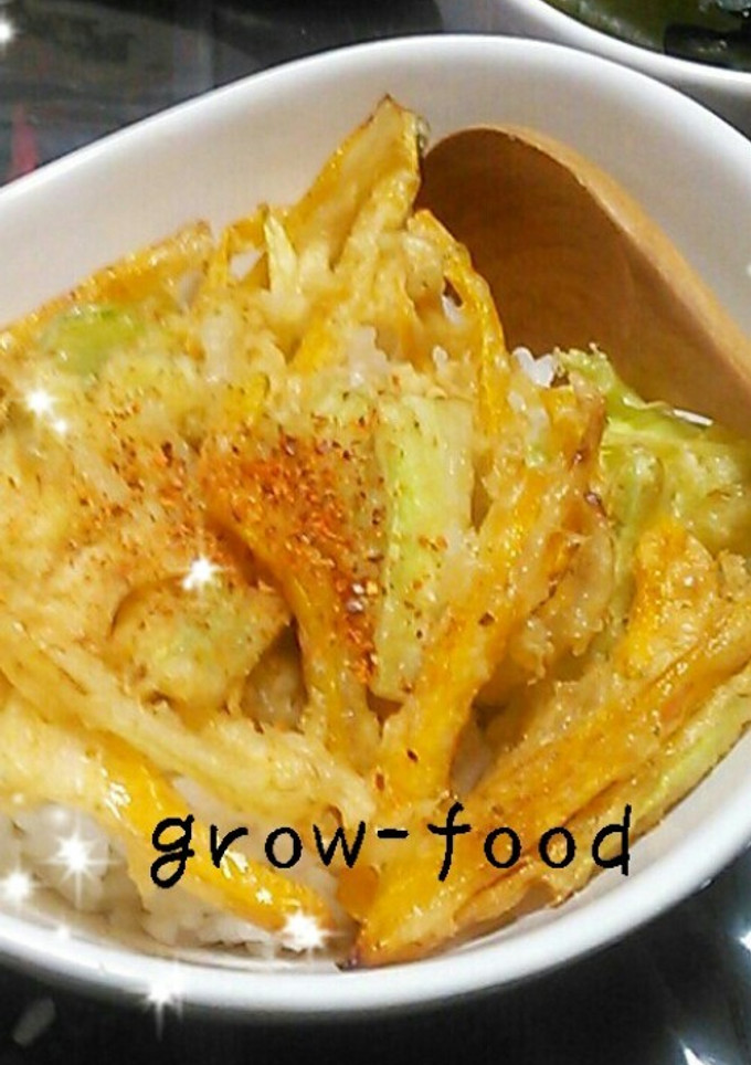 かき揚げ丼-レシピのメイン写真