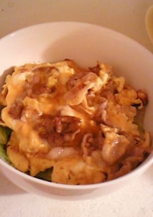 ぶた玉ごはん＾＾-レシピのメイン写真