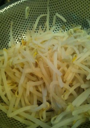 シャキシャキっ！モヤシはこう茹でて♪-レシピのメイン写真
