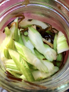 セロリの浅漬け-レシピのメイン写真