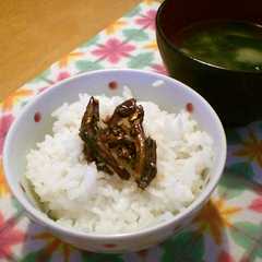 ご飯のおとも♡小魚の佃煮-レシピのメイン写真
