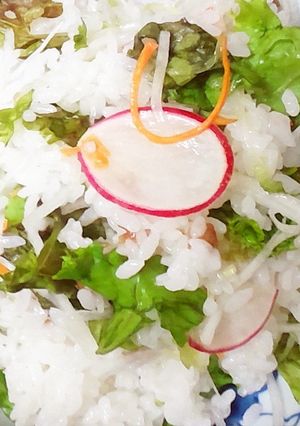 和風サラダごはん-レシピのメイン写真