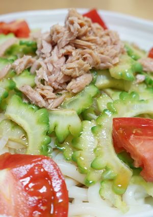 新鮮ゴーヤのサラダうどん-レシピのメイン写真