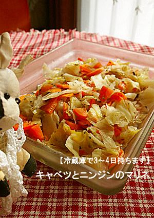 キャベツとニンジンのマリネ-レシピのメイン写真