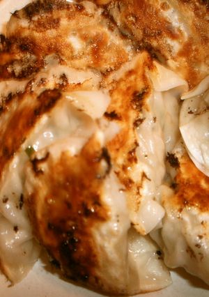 オイスターソース味の餃子✿-レシピのメイン写真