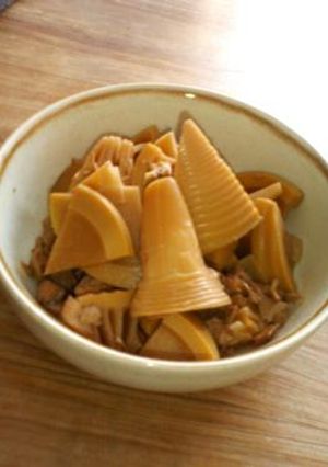 筍の煮物-レシピのメイン写真