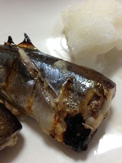 秋刀魚の塩麹漬け焼き-レシピのメイン写真