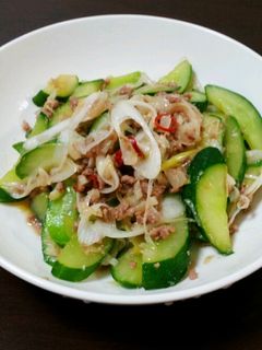 簡単おつまみ!きゅうりと挽き肉炒め-レシピのメイン写真