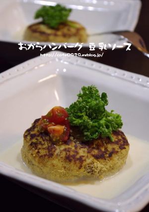九陽手づくりおからハンバーグ 豆乳ソース-レシピのメイン写真