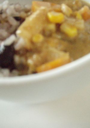体元気カレー-レシピのメイン写真