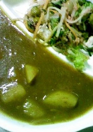 すき家の新カレーで具たっぷりﾌﾟﾗｽ！-レシピのメイン写真