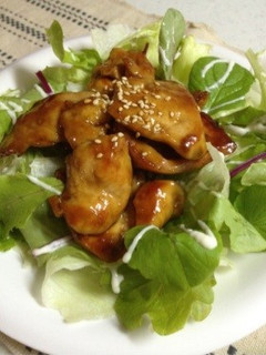 胸肉の照り焼きサラダ-レシピのメイン写真