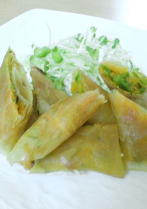 野菜たちのパリパリ春巻き♪簡単すぎ-レシピのメイン写真