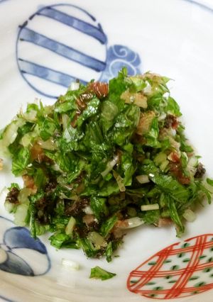 水菜の即席漬け-レシピのメイン写真