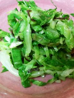 キャベツと塩昆布のお浸し-レシピのメイン写真