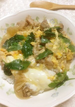 塩麹で親子丼-レシピのメイン写真