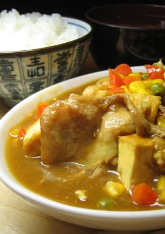 厚揚げと残りカレーの和風煮-レシピのメイン写真