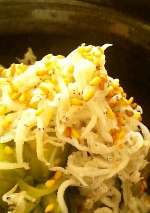 シャキシャキきゃうりとしらすの酢の物♪-レシピのメイン写真