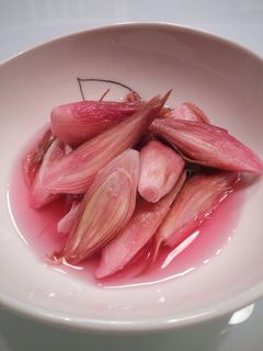 色鮮やか!みょうがの甘酢漬け♪-レシピのメイン写真