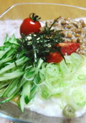 ごちそう豆腐ネバネバのせ☆-レシピのメイン写真