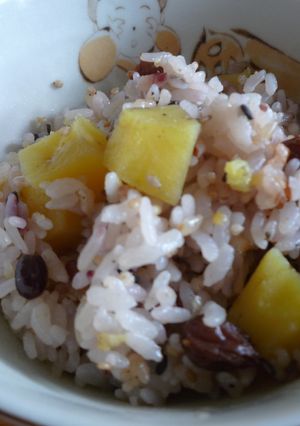 十六穀ごはんdeさつまレーズン炊き-レシピのメイン写真