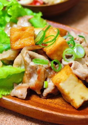 豚肉と厚揚げのうま煮-レシピのメイン写真